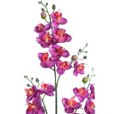 PLANTA ORQUIDEA 50CM