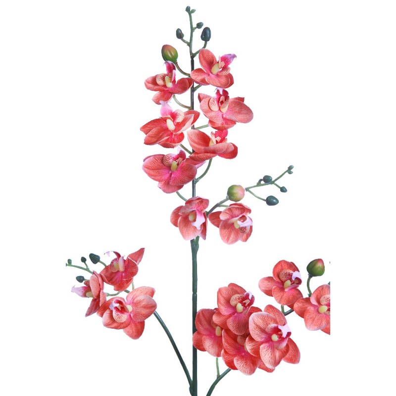 PLANTA ORQUIDEA 50CM
