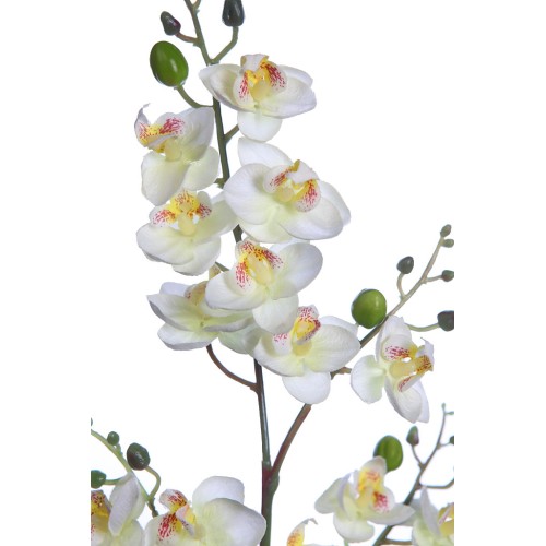 PLANTA ORQUIDEA 50CM 2
