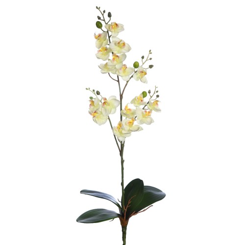 PLANTA ORQUIDEA 50CM 2