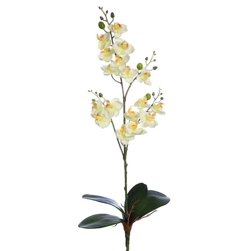 PLANTA ORQUIDEA 50CM