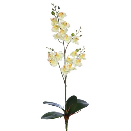 PLANTA ORQUIDEA 50CM