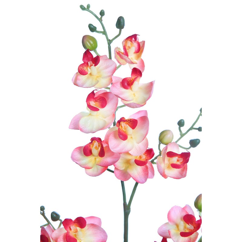 PLANTA ORQUIDEA 50CM