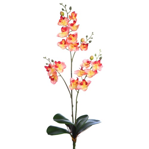 PLANTA ORQUIDEA 50CM