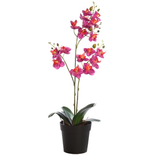 PLANTA ORQUIDEA 50CM EN MACETA