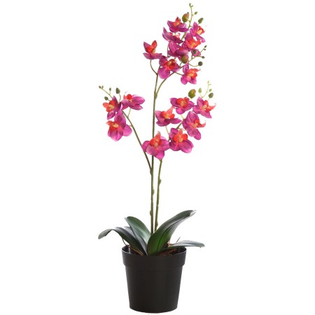 PLANTA ORQUIDEA 50CM EN MACETA