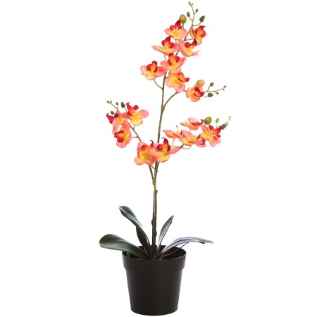 PLANTA ORQUIDEA 50CM EN MACETA