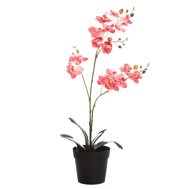 PLANTA ORQUIDEA 50CM EN MACETA