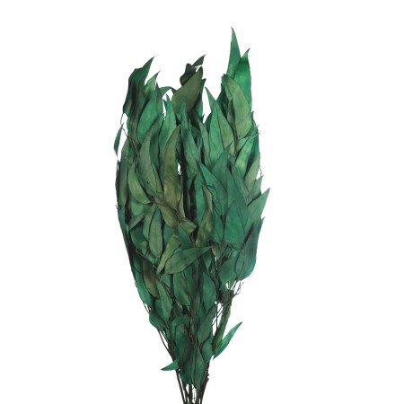 POMO EUCALIPTO NATURAL TRATADO 75CM