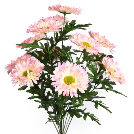 RAMO DE MARGARITAS X 12, ALT. 43CM