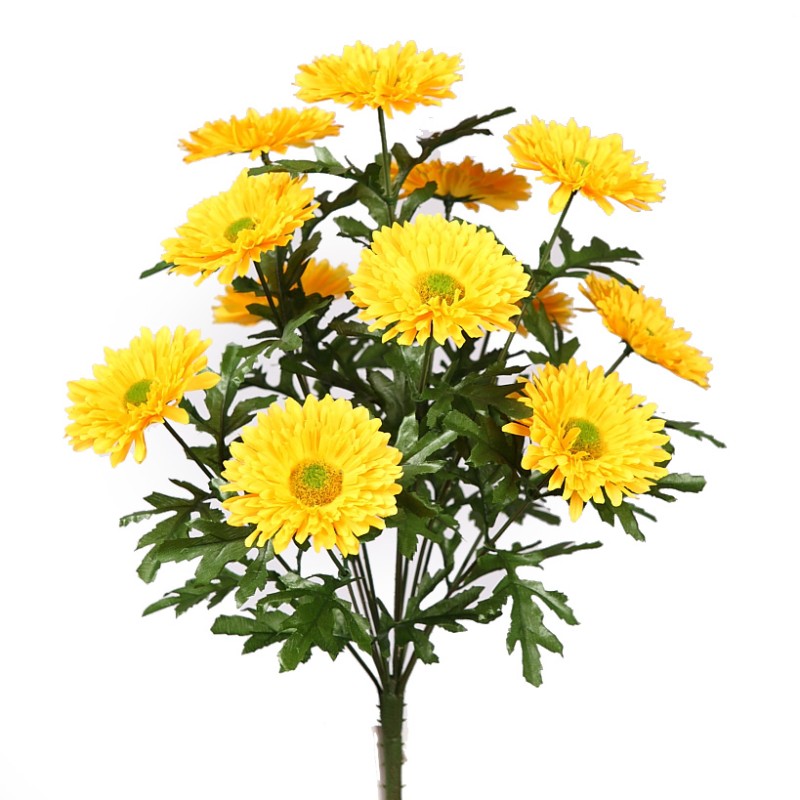 RAMO DE MARGARITAS X 12, ALT. 43CM