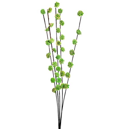 SOLA RUD STICK DRAGON 5UD 80CM