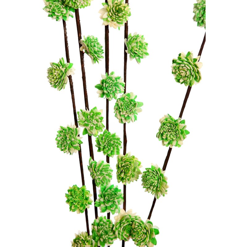 SOLA RUD STICK DRAGON 5UD 80CM