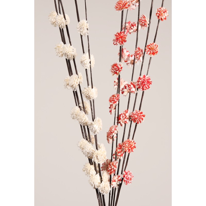 SOLA RUD STICK DRAGON 5UD 80CM