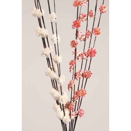 SOLA RUD STICK DRAGON 5UD 80CM