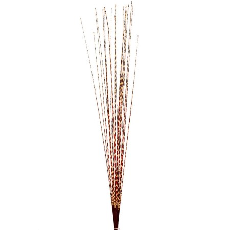 STICK GOLDEN RAFFIA SPIRAL X20 100CM