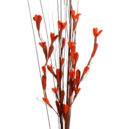 TIN MAIZE RUD STICK SPECIAL COMBO 100CM