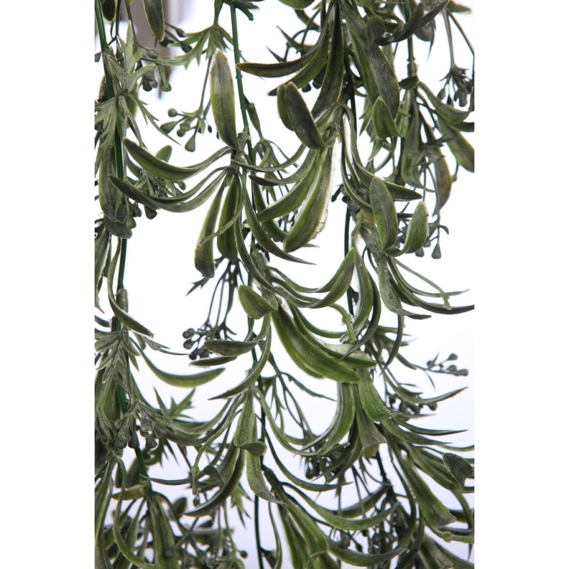 TREPADORA COLGANTE 74CM