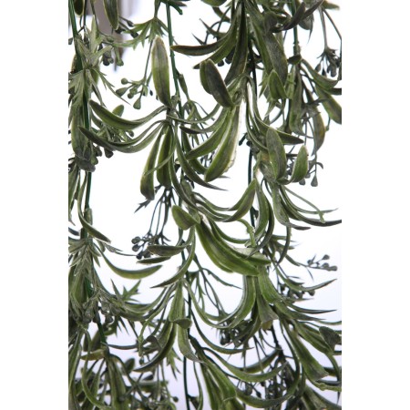 TREPADORA COLGANTE 74CM