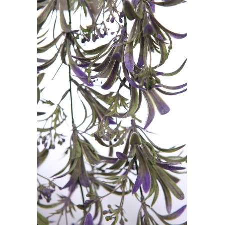 TREPADORA COLGANTE 74CM