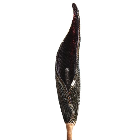 VARA CALA LENTEJUELAS 96CM