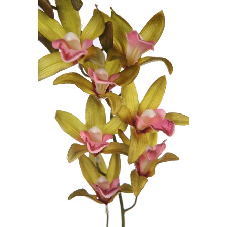 VARA DE ORQUIDEA 72CM