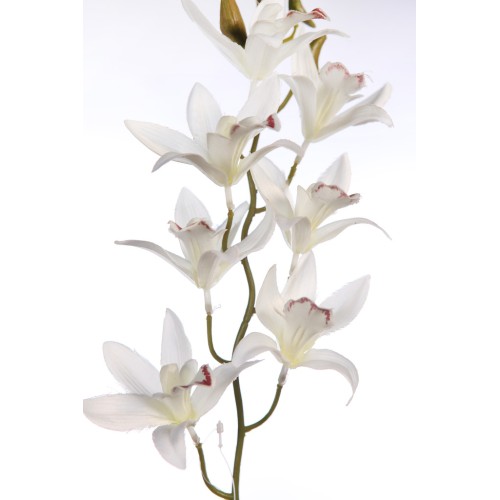 VARA DE ORQUIDEA 72CM 2