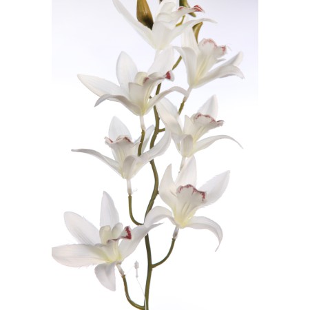 VARA DE ORQUIDEA 72CM