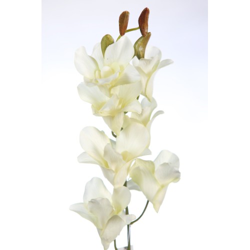 VARA DE ORQUIDEA 74CM 2