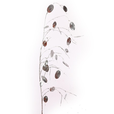 VARA DEL DOLAR 138 CM