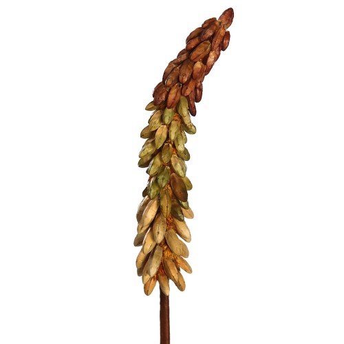 VARA EXOTICA SECO 75CM 2