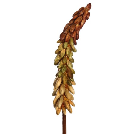 VARA EXOTICA SECO 75CM