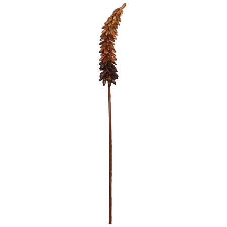 VARA EXOTICA SECO 75CM