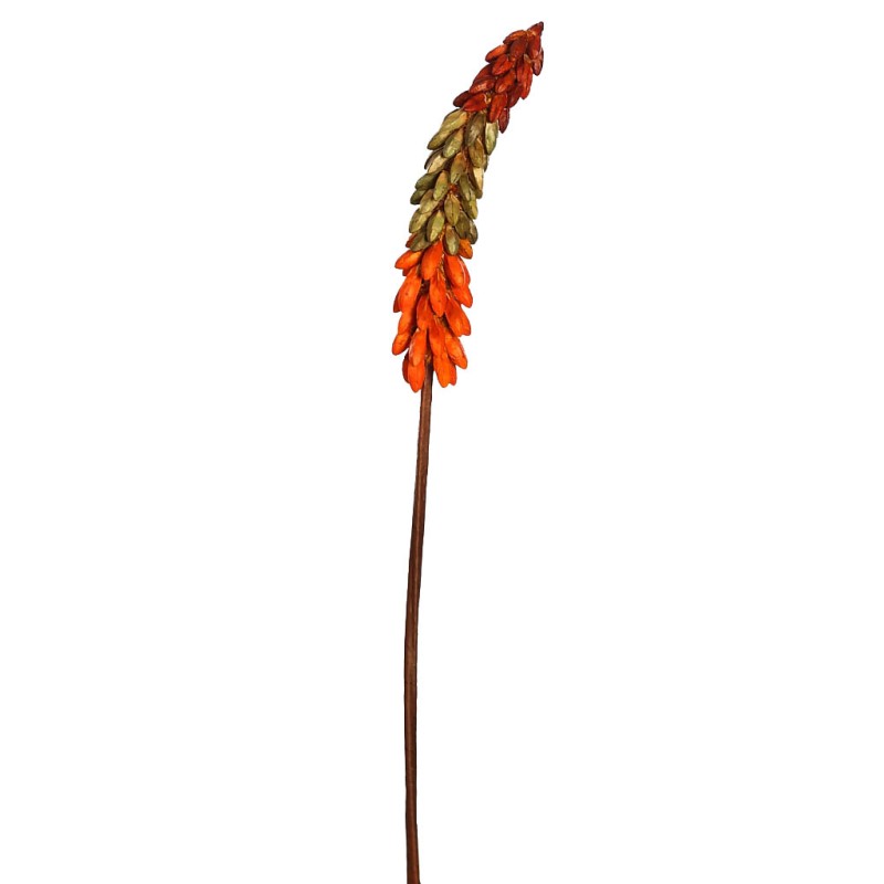 VARA EXOTICA SECO 75CM