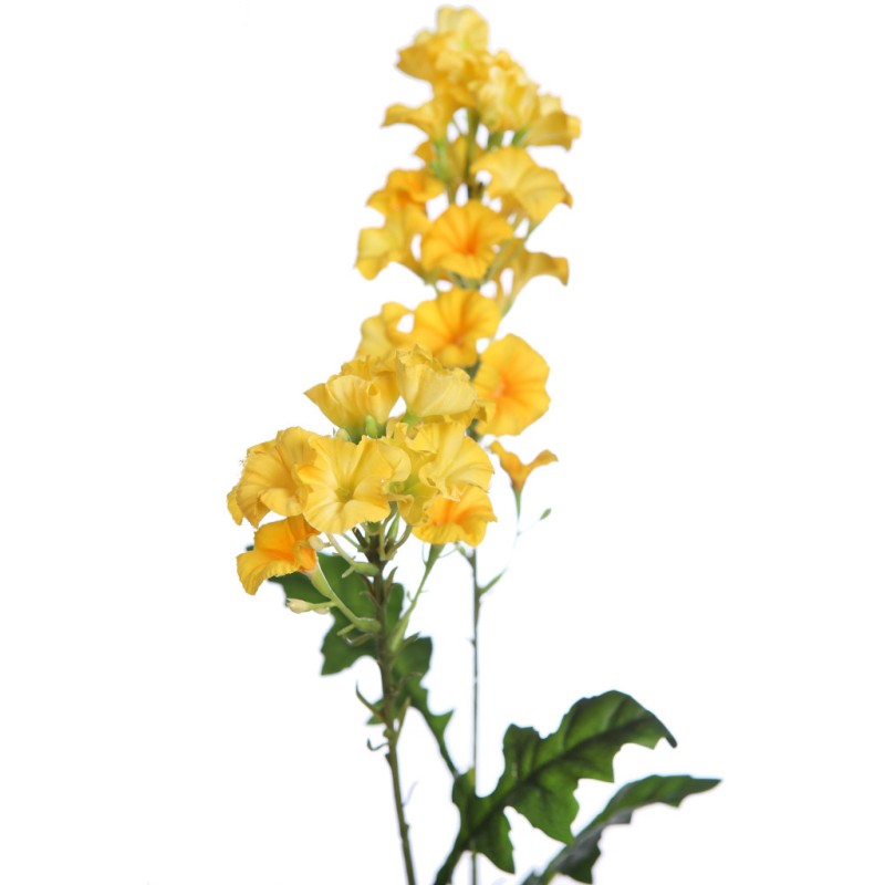 VARA FLOR BELLA DE DIA 76CM