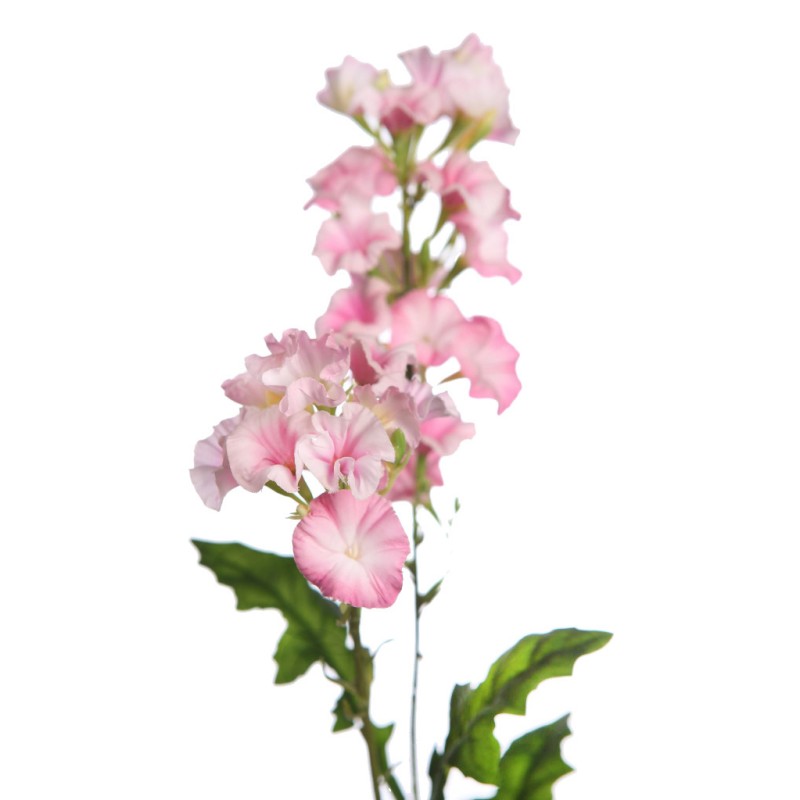 VARA FLOR BELLA DE DIA 76CM