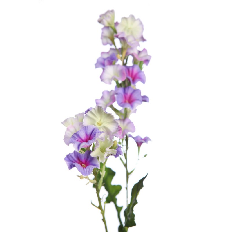 VARA FLOR BELLA DE DIA 76CM