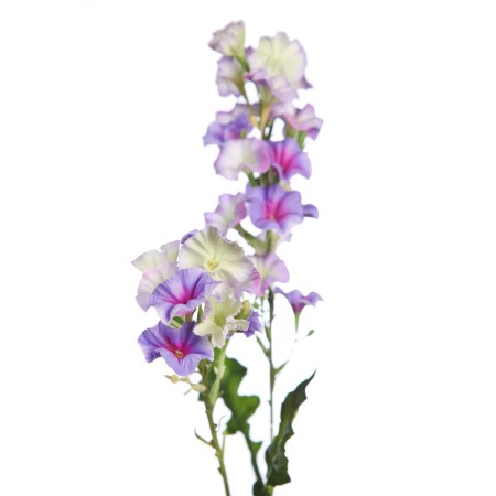 VARA FLOR BELLA DE DIA 76CM