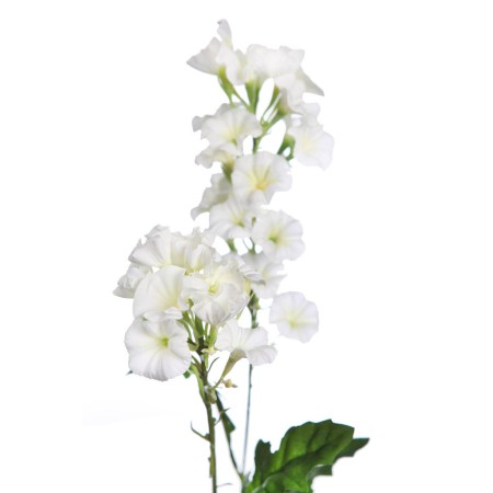 VARA FLOR BELLA DE DIA 76CM