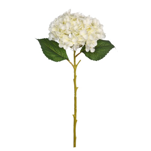 VARA HORTENSIA 50CM 2
