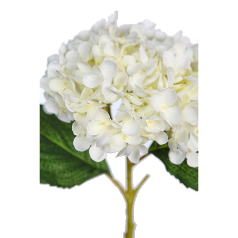 VARA HORTENSIA 50CM