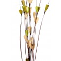 COCO PALM LILY MIX 16UD 100CM