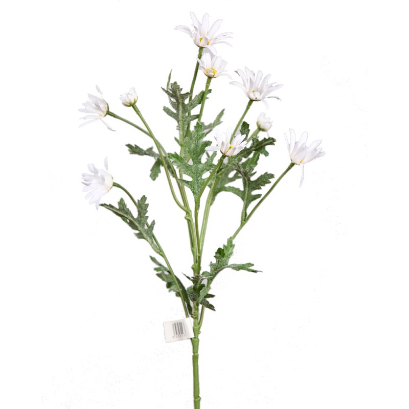 VARA MARGARITA ASTER, 45 CM