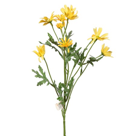 VARA MARGARITA ASTER, 45 CM