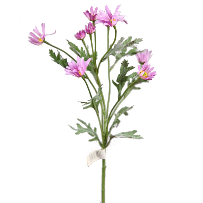 VARA MARGARITA ASTER, 45 CM