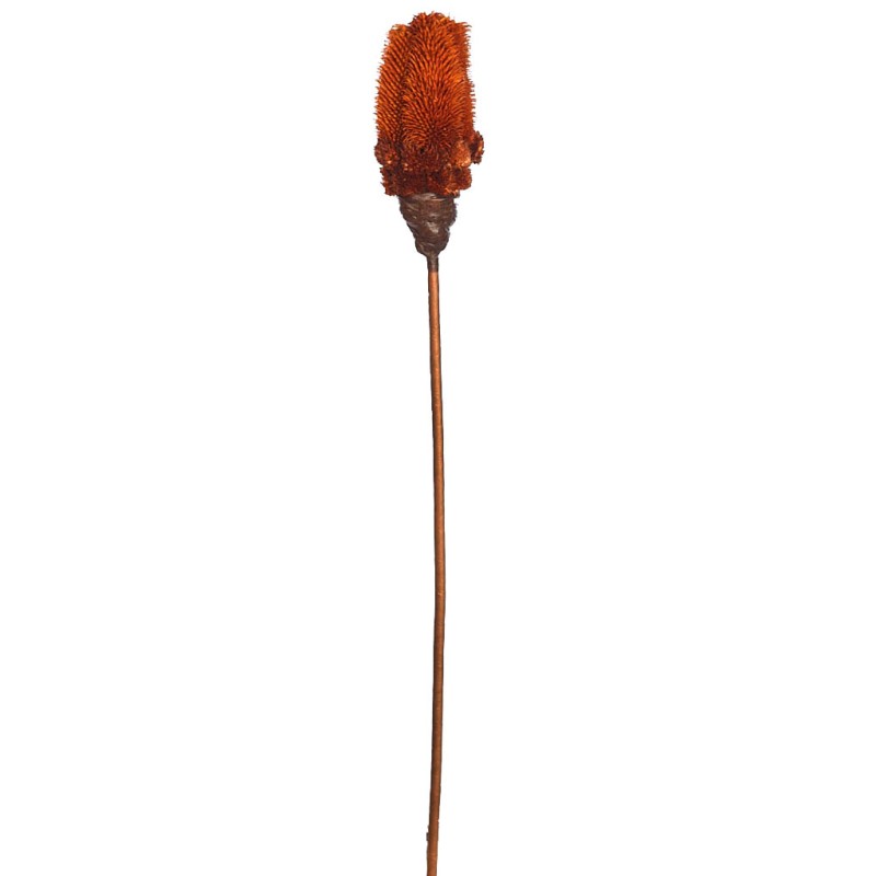 VARA SECO MORMOR 70CM