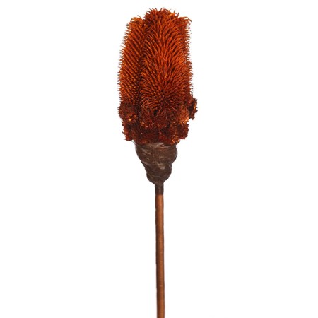 VARA SECO MORMOR 70CM