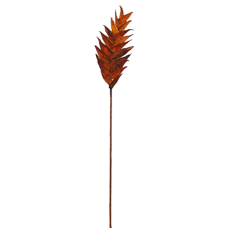VARA VRIESEA 85 CM