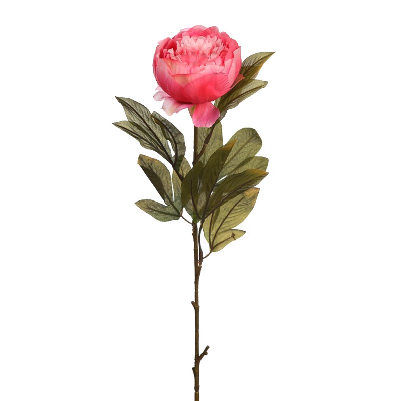 VARA DE PEONIA 70CM