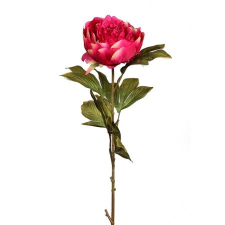 VARA DE PEONIA 70CM